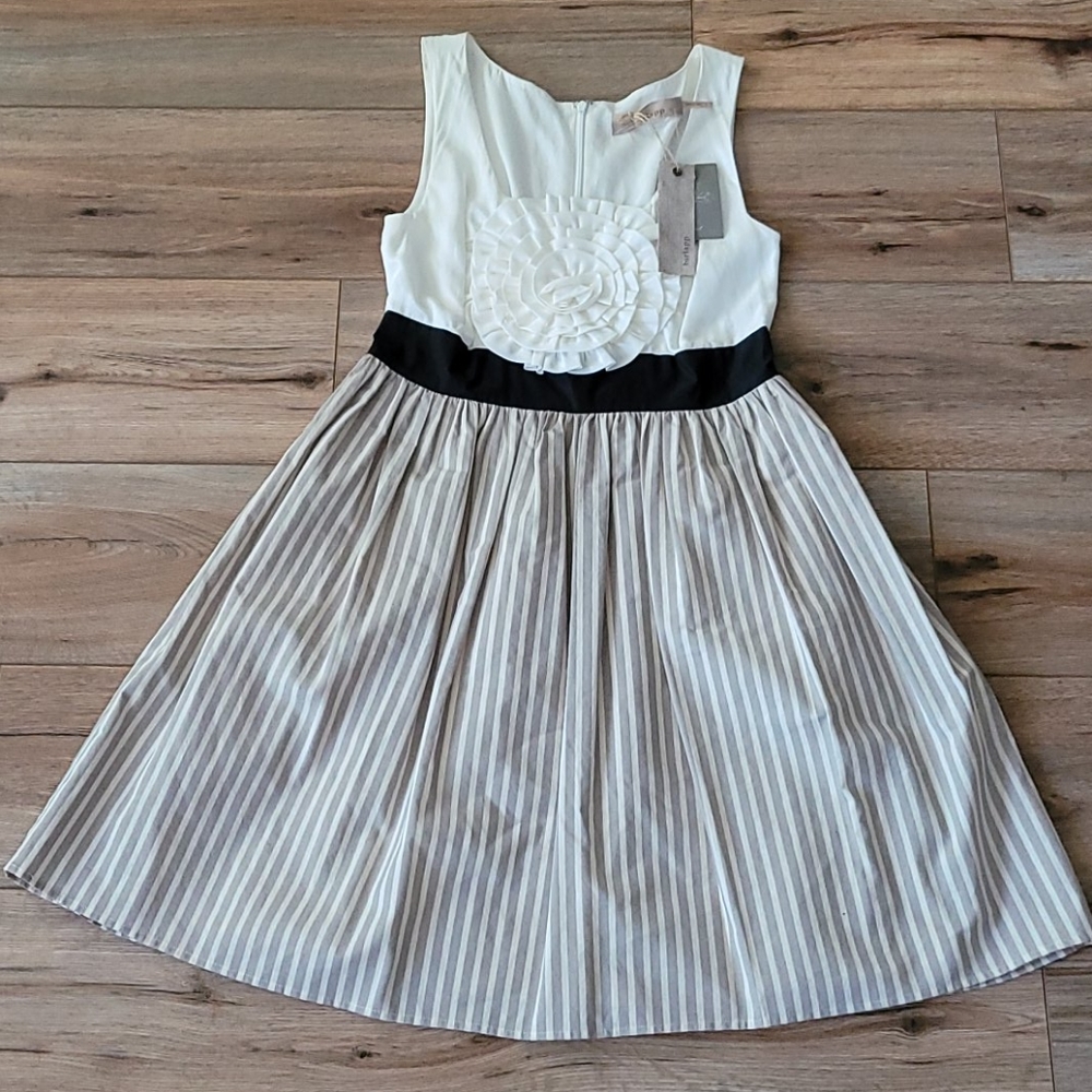 Anthropolgie Dress